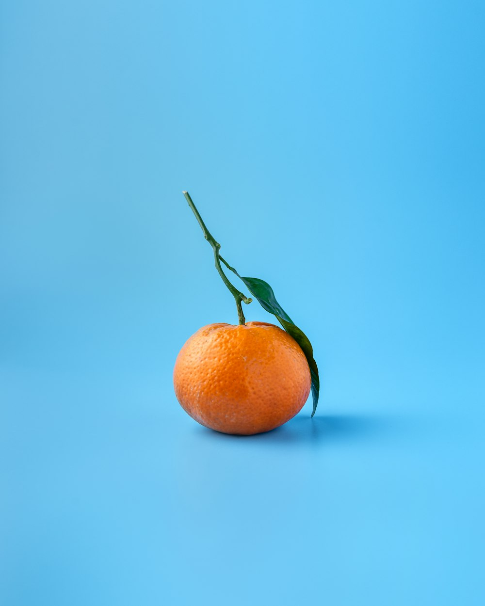 Oranges fraîches et juteuses pour jus pressé